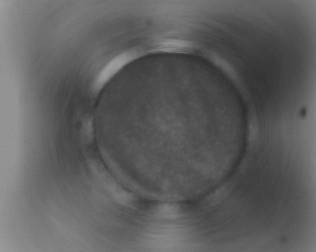 X0000113941362200910161905