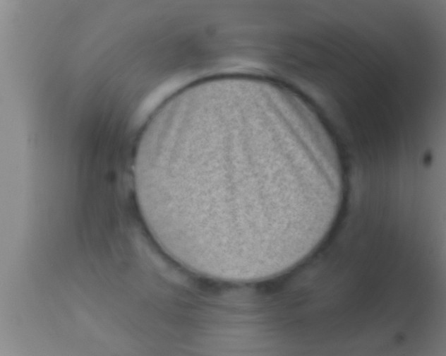 X0000113941363200910161905