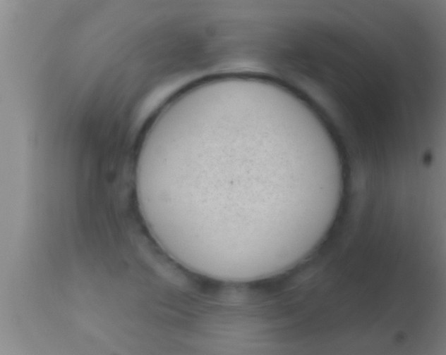 X0000113941364200910161905