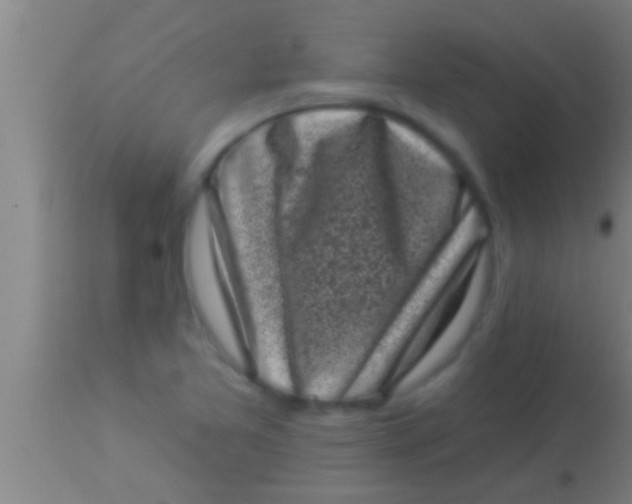 X0000113941365200910161905