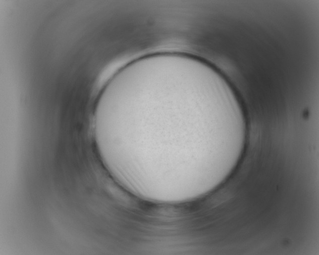 X0000113941366200910161905