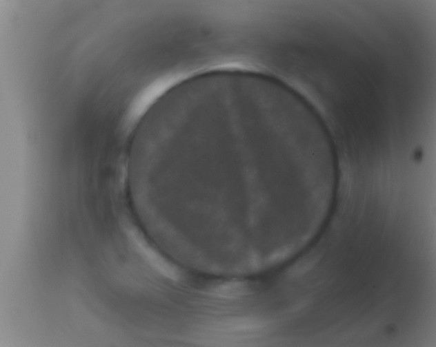 X0000113941367200910161905