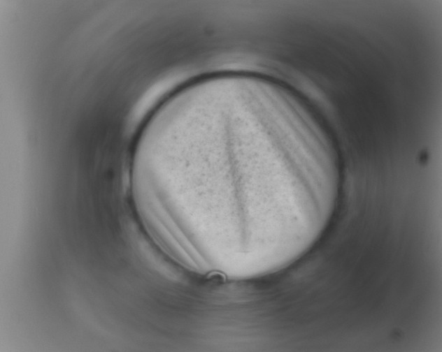 X0000113941368200910161905