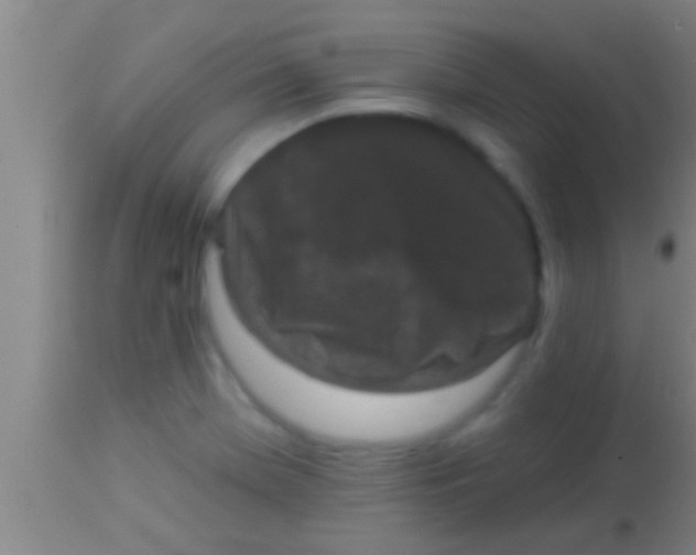 X0000113941369200910161905