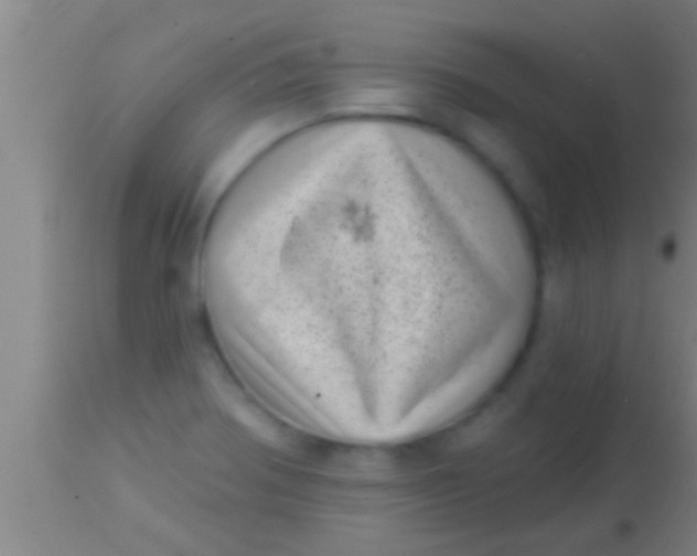 X0000113941370200910161905