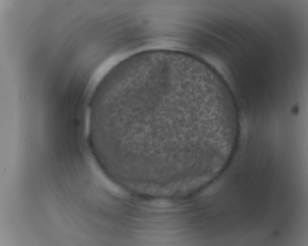 X0000113941371200910161905