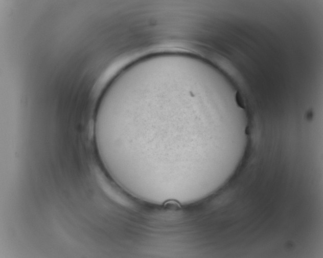 X0000113941372200910161905