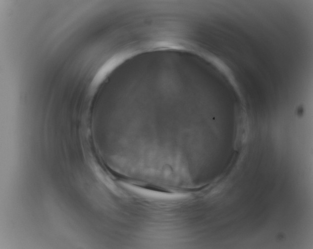 X0000113941373200910161905