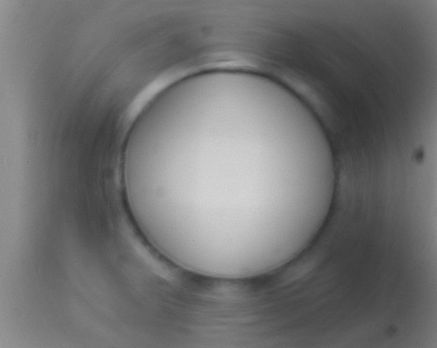 X0000113941375200910161905