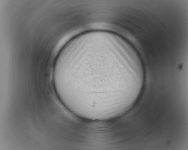 X0000113941376200910161905