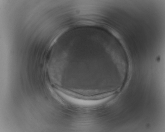 X0000113941377200910161905