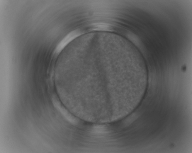 X0000113941378200910161905