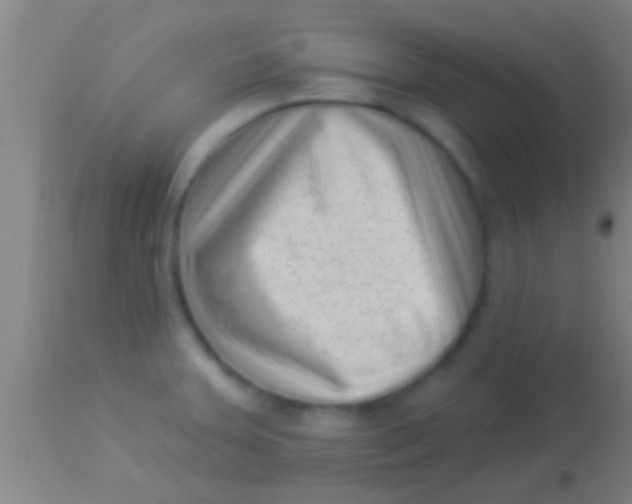 X0000113941379200910161905