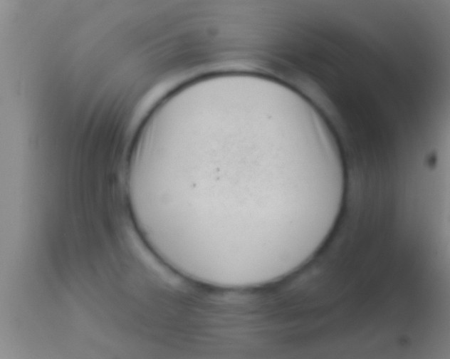 X0000113941380200910161905