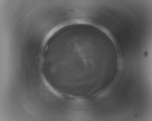 X0000113941381200910161905