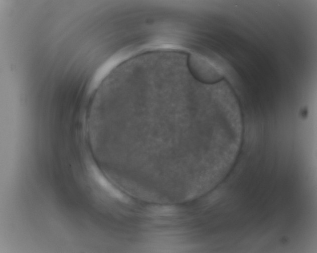 X0000113941382200910161905