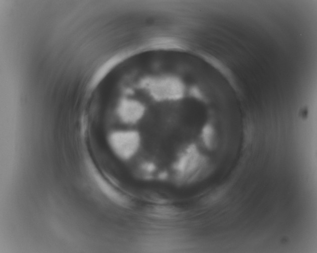 X0000113941383200910161905