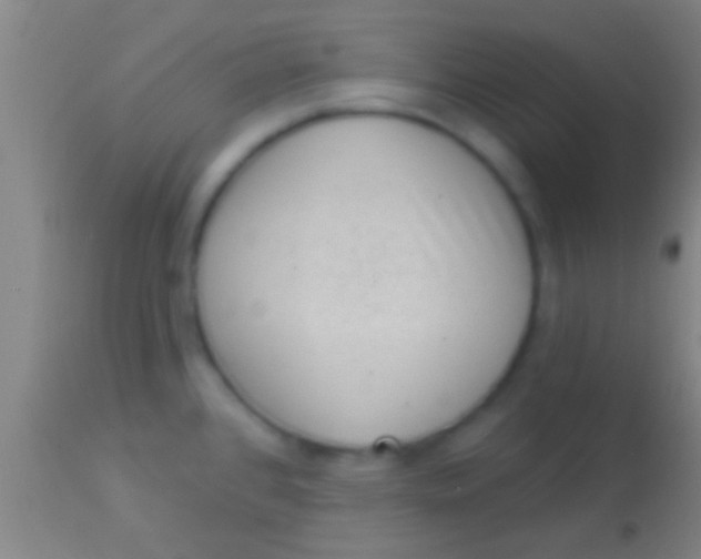 X0000113941384200910161905