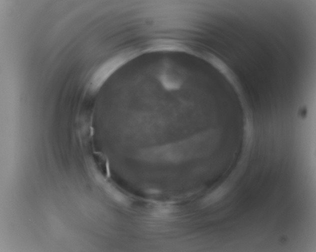 X0000113941385200910161905