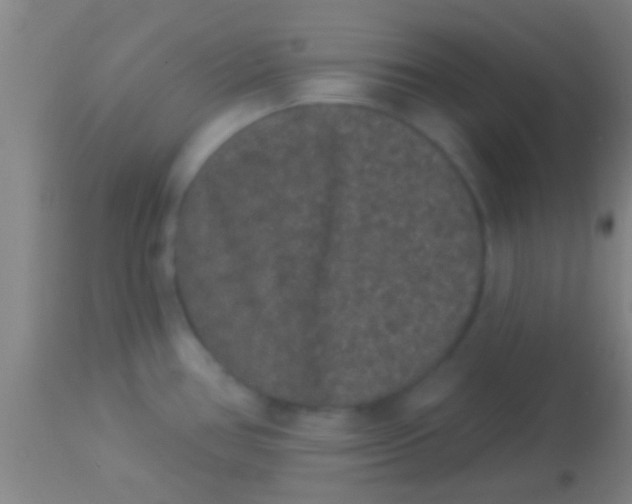 X0000113941386200910161905