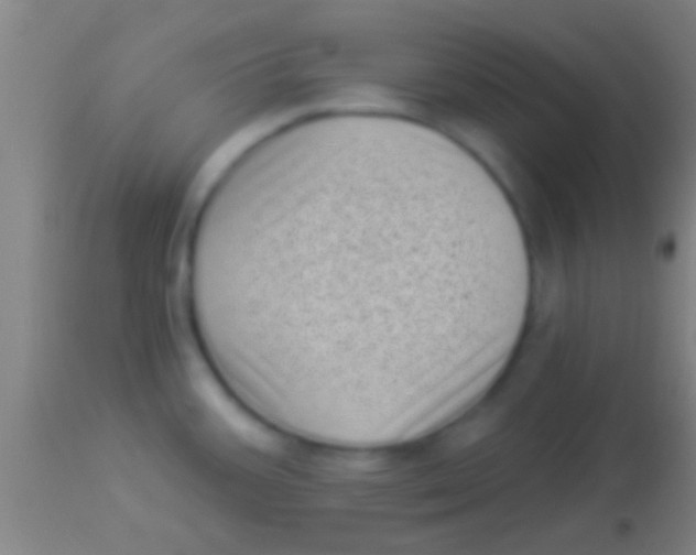 X0000113941387200910161905