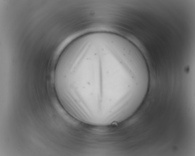 X0000113941388200910161905