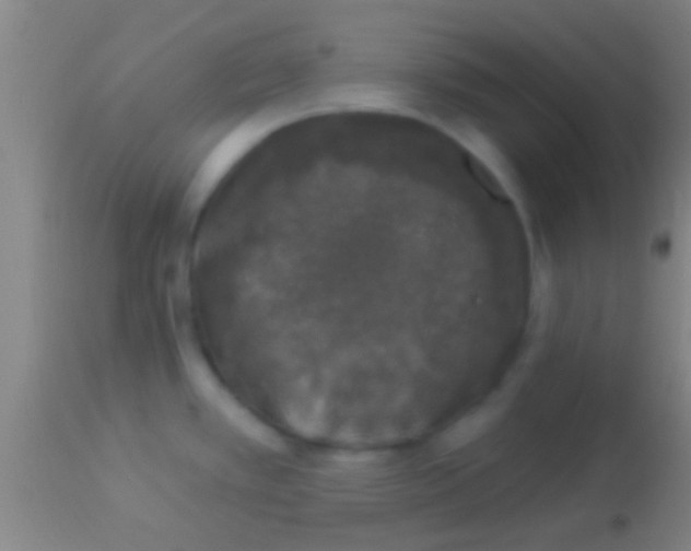 X0000113941389200910161905