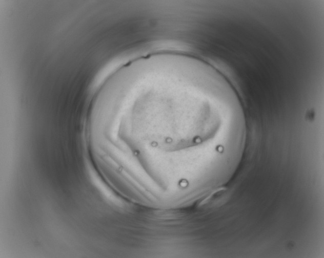 X0000113941391200910161905