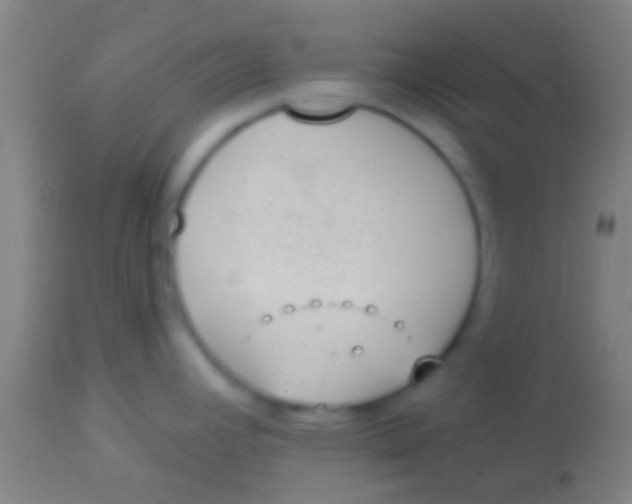 X0000113941392200910161905