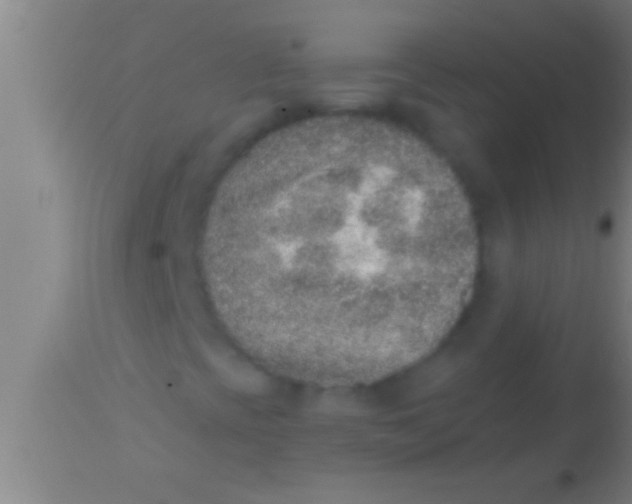 X0000113941393200910161904