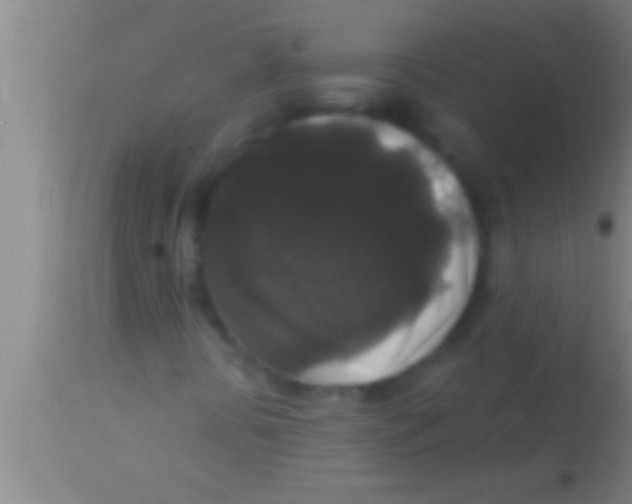 X0000113941394200910161904