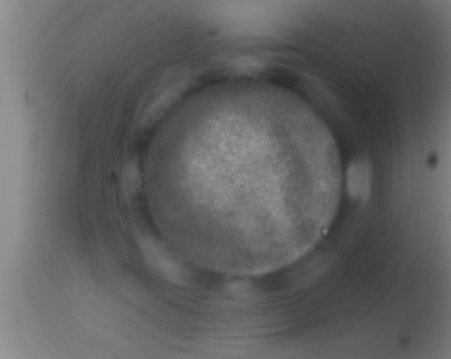 X0000113941395200910161904