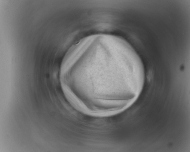 X0000113941396200910161904