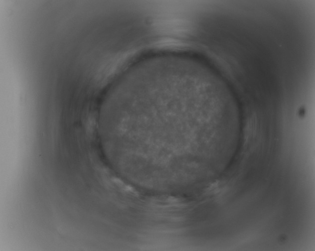 X0000113941397200910161904