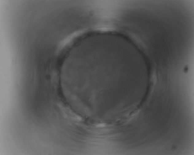 X0000113941398200910161904