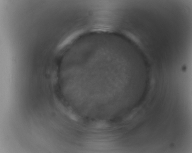 X0000113941399200910161904