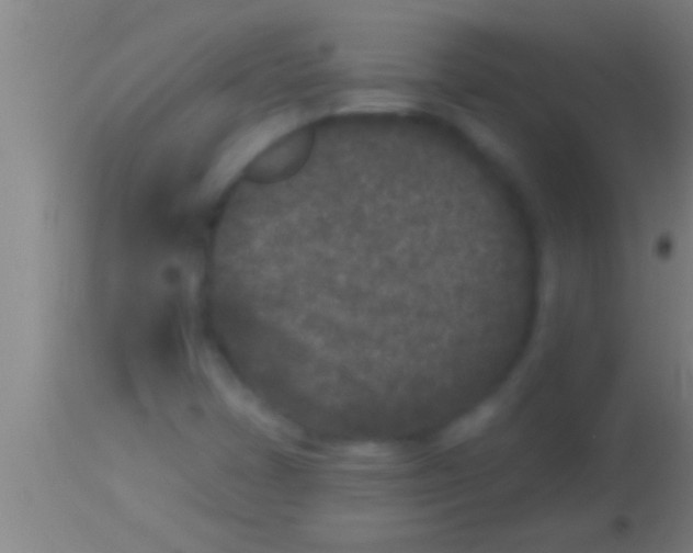 X0000113941401200910161904