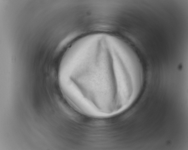 X0000113941402200910161904