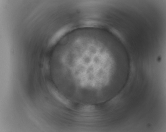 X0000113941403200910161904