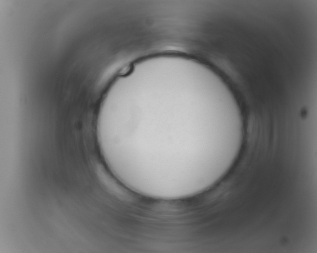 X0000113941404200910161904