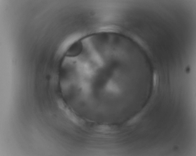 X0000113941405200910161904