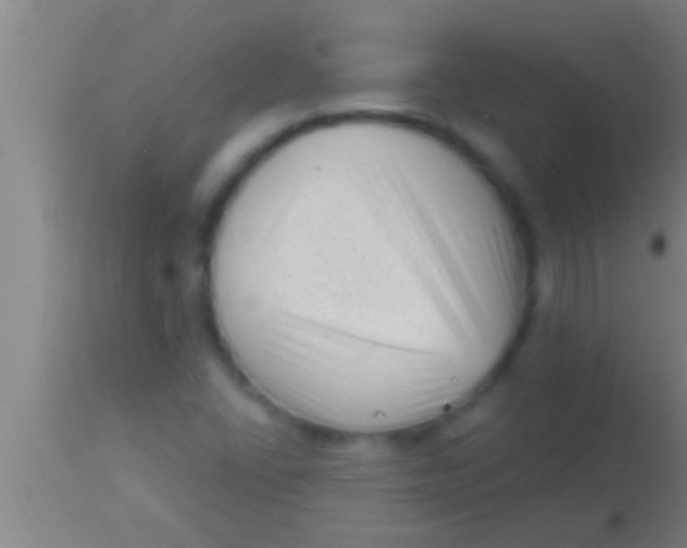 X0000113941406200910161904