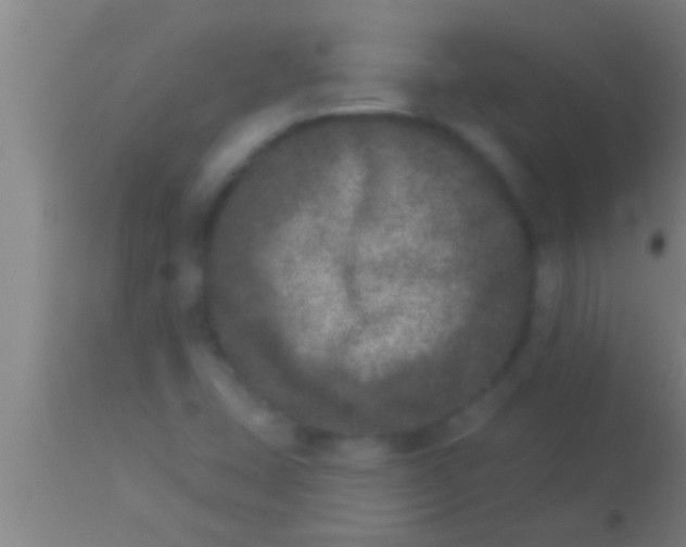 X0000113941407200910161904