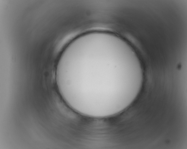 X0000113941408200910161904