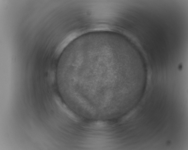 X0000113941409200910161904