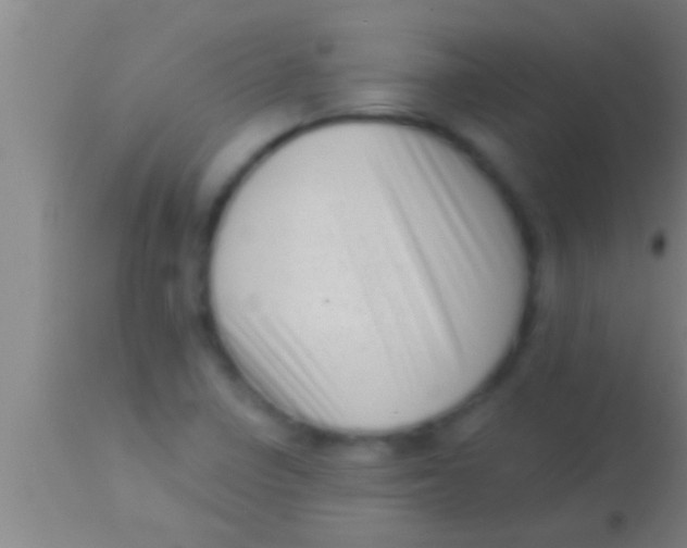 X0000113941410200910161904