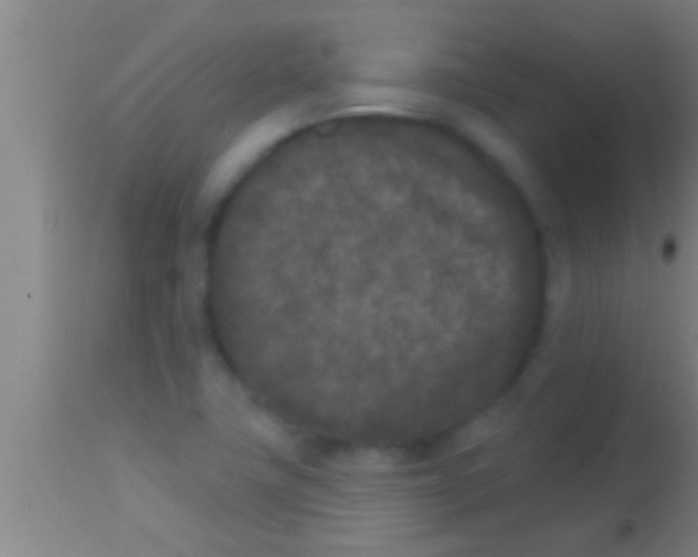 X0000113941411200910161904