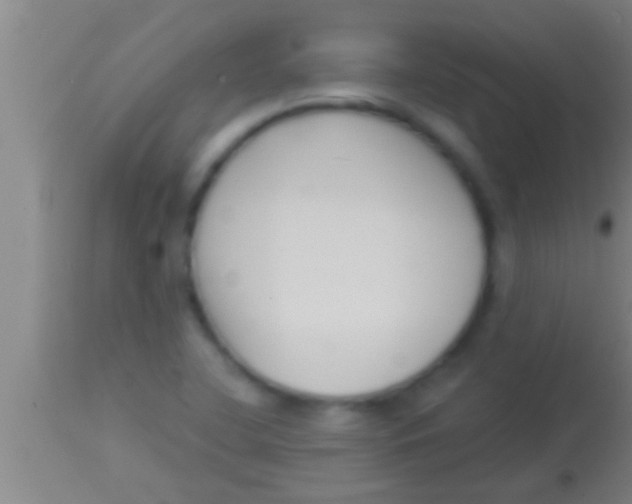 X0000113941412200910161904