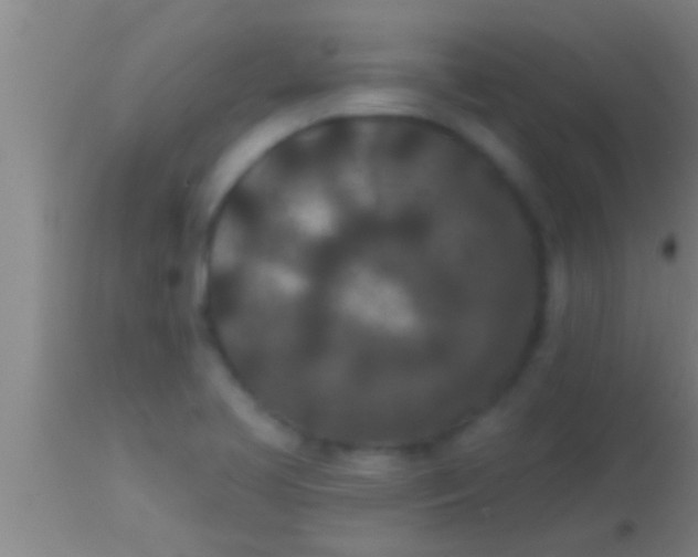 X0000113941413200910161904