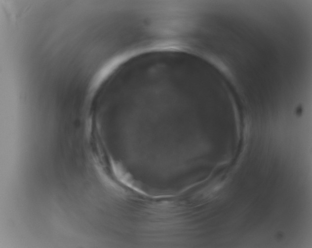 X0000113941414200910161904